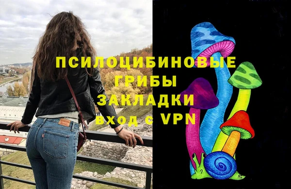 эйфоретик Аркадак