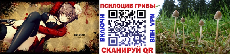 Псилоцибиновые грибы Cubensis  Сосновка 
